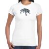Womens Softstyle Tee Shirt Thumbnail